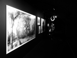 Uitslag Fotofestival fotowedstrijd