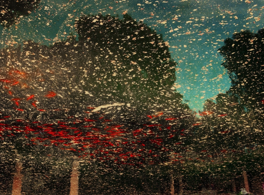 Werk uit de serie ‘the Mouth of Krishna' van Albarrán Cabrera