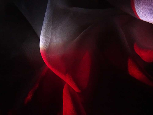 The Appearance of Light - Sona Sahakian