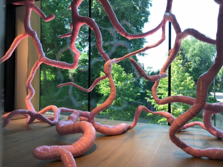 Sakura woekert in Singer Laren!