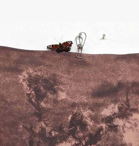 A House that Shelters Daydreams