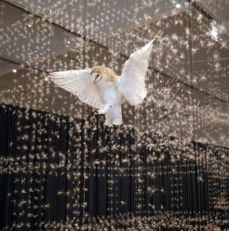 Claire Morgan - 'Here is the End of All things'