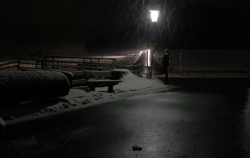 Buitenaards op aarde, lantaarn, Inge van Heerde