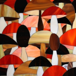 'Paddestoelen' van Monique