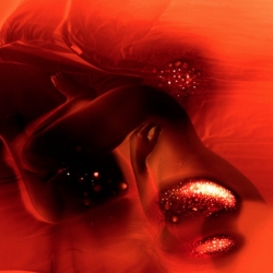 Materiaal: Foto op lichtbak