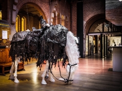 Decembertijd: beste paard van stal wint