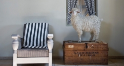 interview met aanstormend talent: OLIVIER VAN HARTINGSVELDT