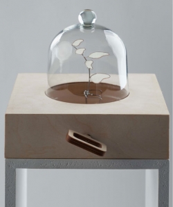 Romy Yoya Kuldip Singh