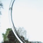 Brushes of Light (Window of Opportunity 2024)