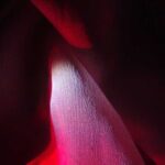 The Appearance of Light - Sona Sahakian