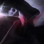 The Appearance of Light - Sona Sahakian