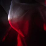 The Appearance of Light - Sona Sahakian